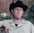 Sheriff Gordon