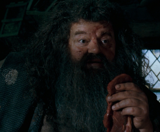 File:Hagrid HPATOOTP - Edited.png