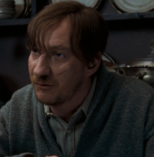 Professor Lupin HPATOOTP - Edited.png
