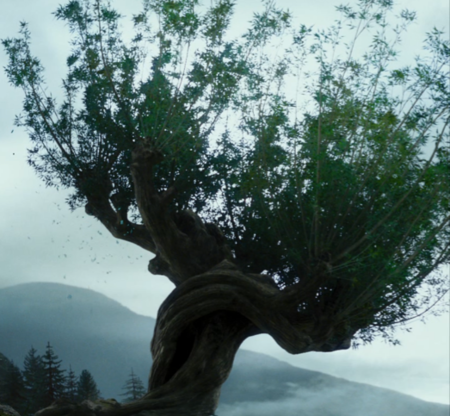 Whomping Willow 3 - Edited.png