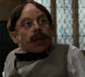 Professor Flitwick