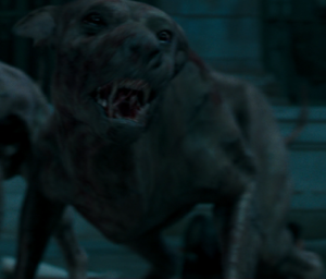 Infected Dogs - Edited.png